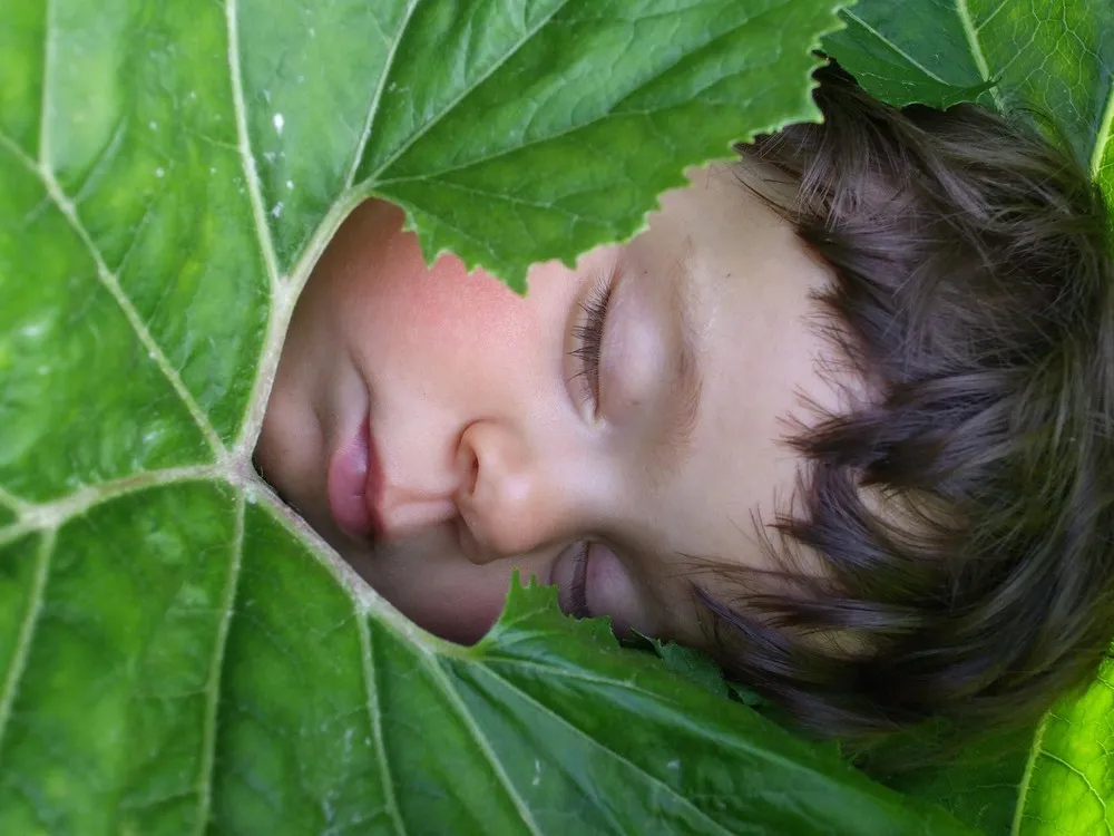 Toddlers by Karolina Bazydlo