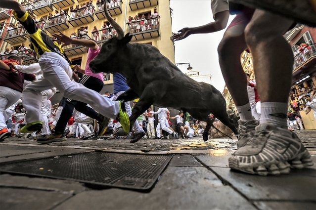 Jose Escolar Gil's fighting bulls run among revelers during the second day of the running of the bulls during the San Fermin fiestas in Pamplona, Spain, Saturday, July 8, 2023. (Photo by Alvaro Barrientos/AP Photo)