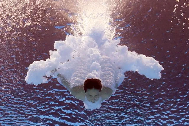 Yuxi Chen of Team China competes in the Women's 10m Platform Semifinal on day one of the Budapest 2022 FINA World Championships at Duna Arena on June 26, 2022 in Budapest, Hungary. (Photo by Tom Pennington/Getty Images)