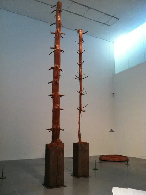 The Hidden Life Within By Giuseppe Penone