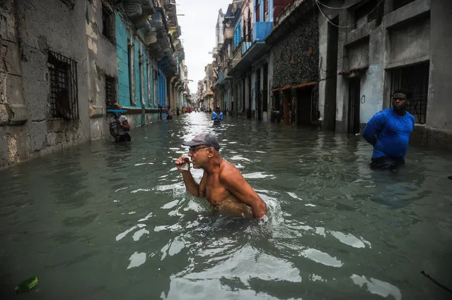 A Cuban wades through a flooded street in Havana, on September 10, 2017. (Photo by Yamil Lage/AFP Photo)