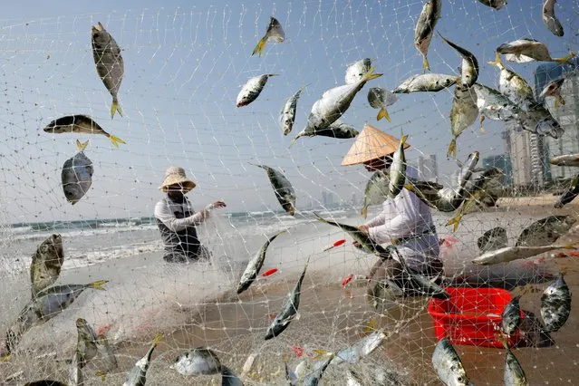 People collect fish on the beach during the coronavirus disease (COVID-19) outbreak in Da Nang, Vietnam on May 6, 2020. (Photo by Kham via Reuters)