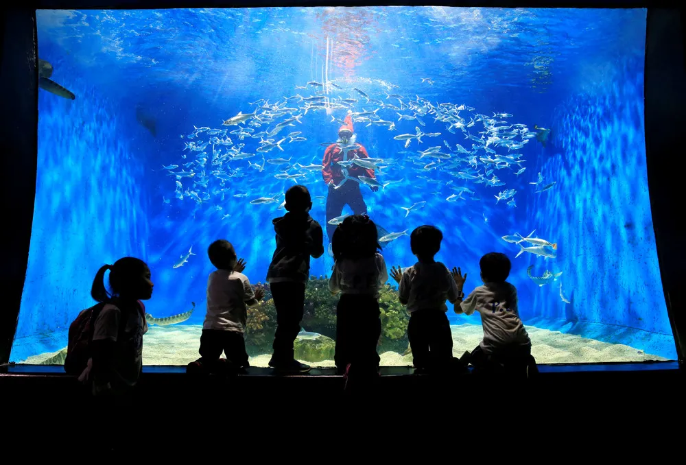 Santa is Coming, Part 1/2