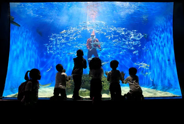A professional diver dressed as Santa Claus entertains school children in a huge aquarium inside a Ocean Park in Manila, Philippines December 18, 2017. (Photo by Romeo Ranoco/Reuters)