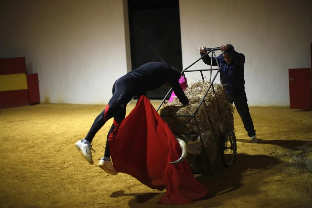 The First International Biennial of Bullfighting
