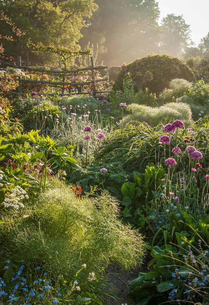 UK International Garden Photographer of the Year