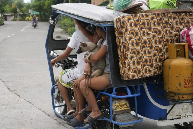 Residents living near Mayon Volcano in Daraga, Albay province, northeastern Philippines move to an evacuation center on Sunday, June 11, 2023. (Photo by Aaron Favila/AP Photo)