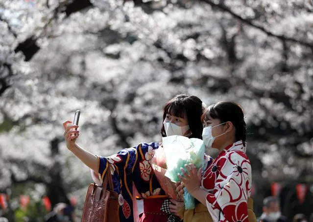 Kimono-clad women wearing protective face masks take selfie photos among blooming cherry blossoms amid the coronavirus disease (COVID-19) panemic, at Ueno Park in Tokyo, Japan, March 23, 2021. (Photo by Issei Kato/Reuters)