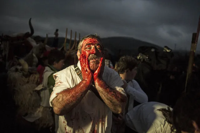 A man covers his face with animal blood to takes part in the “Momotxorro Carnival'”,  in Alsasua, northern Spain, Tuesday, February 17, 2015. Momotxorro, characters who seem to have been resurrected from a prehistoric ritual, come out onto the town's streets. Wearing horns and hiding their faces under headscarves, they are dressed in a white sheet stained with blood, sheepskin gilets, blue trousers, white socks and black sandals. (Photo by Alvaro Barrientos/AP Photo)