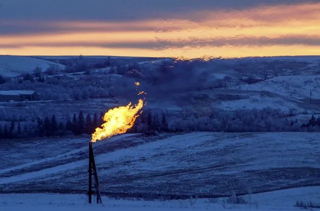 A natural gas flare on an oil well pad burns as the sun sets outside Watford City, North Dakota January 21, 2016. (Photo by Andrew Cullen/Reuters)
