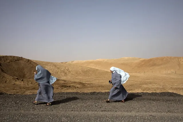 Franciscan nuns during dust winds at the Qasr al-Yahud baptism site during the Feast of the Baptism of the Lord procession by Franciscan Pilgrims in the Jordan River, West Bank near Jericho, 13 January 2019. (Photo by Abir Sultan/EPA/EFE)