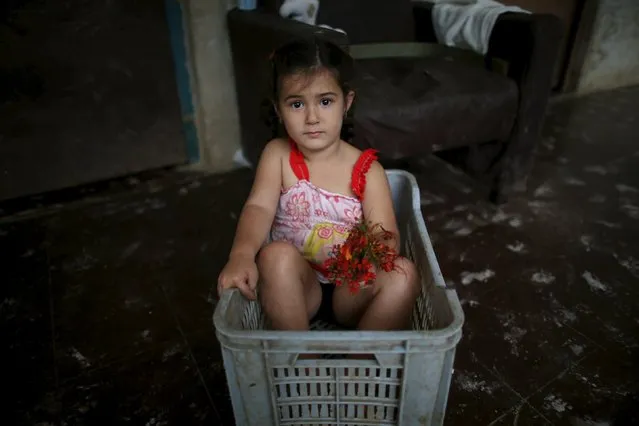 Saidy Carcache, 3, plays with flowers at her home in Caimito, Cuba, February 15, 2016. (Photo by Alexandre Meneghini/Reuters)