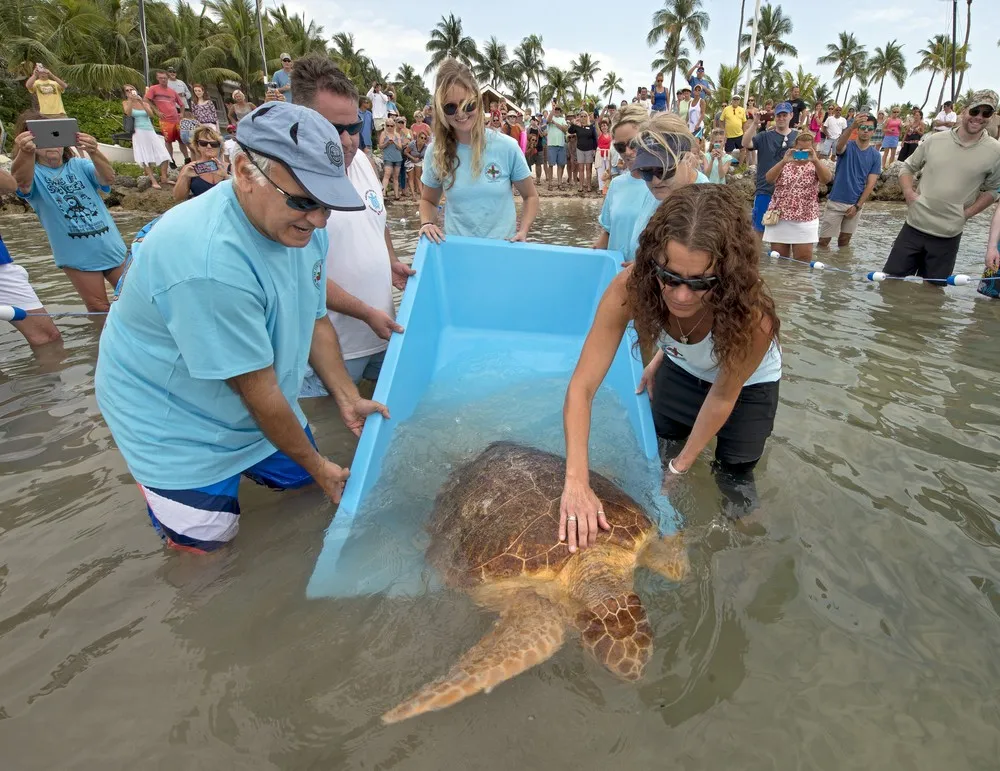 The Week in Pictures: May 1 – May 8, 2015. Part 3/6