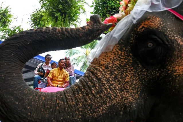 A couple rides an elephant during a Valentine's Day celebration, at the Nong Nooch Tropical Garden in Chonburi province, Thailand on February 14, 2024. (Photo by Athit Perawongmetha/Reuters)