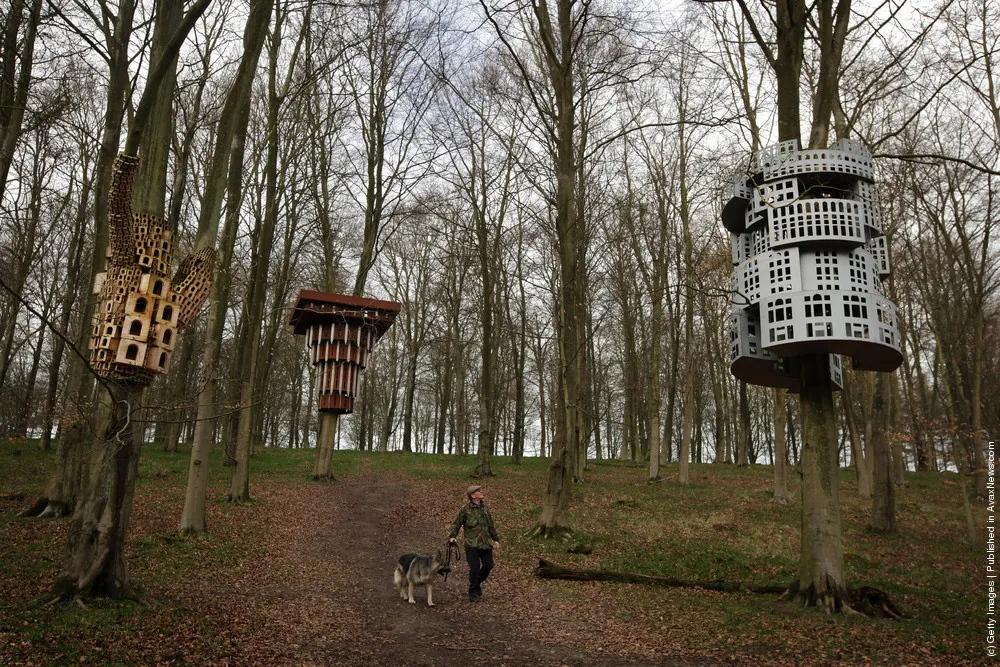 Artists Create Bird Boxes To Reflect Their Surrounding