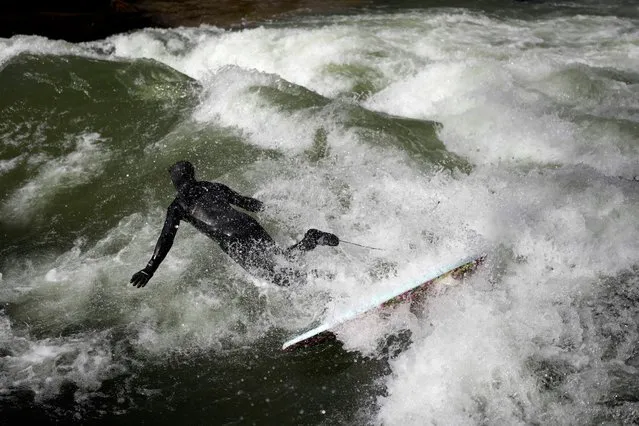 A surfer falls in an artificial wave in the river 'Eisbach' at the 'Englischer Garten' (English Garden) downtown in Munich, Germany, Monday, February 26, 2024. (Photo by Matthias Schrader/AP Photo)