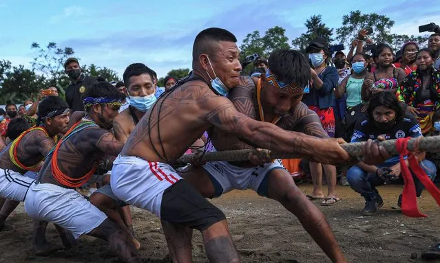 Panamanian Embera indigenous compete in a tug-of-war during the third ancestral indigenous games in Pueblo Nuevo Buri, province of Bocas del Toro, Panama on December 16, 2021. At least 250 indigenous from Panama's seven ethnic groups are fighting not only to win a medal in the Ancestral Indigenous Games, but also to rescue and perpetuate the customs and traditions of their communities. (Photo by Luis Acosta/AFP Photo)