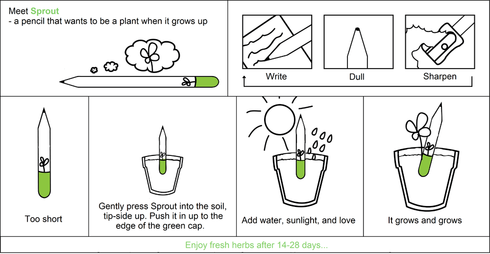 Sprout a Pencil that Grows