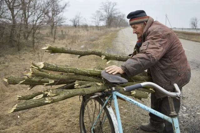 Pensioner Viktor collects firewood on February 16, 2022 in Novokostyantynivka Ukraine. (Photo by Chris McGrath/Getty Images)