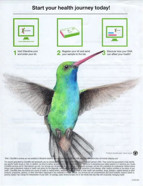 “But it also makes a playful commentary on predatory businesses and the role of lending institutions in the financial collapse, which was when I started drawing birds like this Hummingbird”. (Photo by Paula Swisher/Caters News)