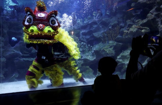 People watch underwater lion dance during the first day of Chinese Lunar New Year at KLCC Aquaria in Kuala Lumpur, Malaysia, February 1, 2022. (Photo by Hasnoor Hussain/Reuters)