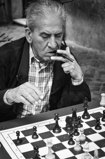 “Chess in the afternoon”. A group of Roman men play chess daily under the fig tree outside this favourite local bar. Photo location: Bar del Fico, Rome, Italy. (Photo and caption by Allison Zurfluh/National Geographic Photo Contest)