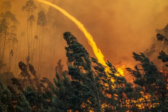 A wiev on flames rising during a forest fire in Vale das Porcas, Alvaiazere, central Portugal, 18 June 2017. At least sixty two people have been killed in forest fires in central Portugal, with many being trapped in their cars as flames swept over a road on the evening of 17 June 2017. (Photo by Paulo Cunha/EPA)