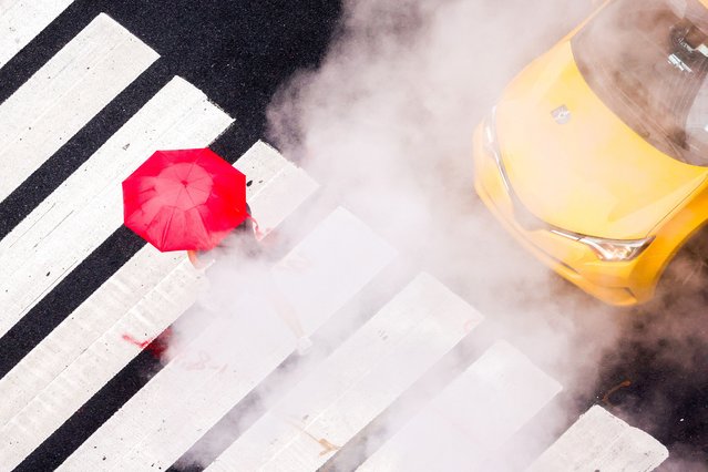 A person crosses Third Avenue during a rainy day in New York on August 8, 2024. (Photo by Charly Triballeau/AFP Photo)