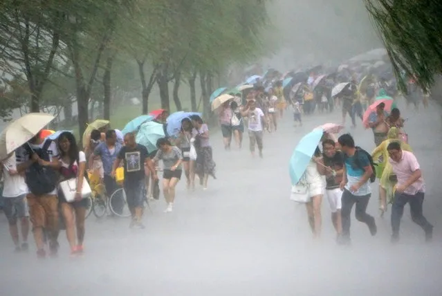 People hold umbrellas in heavy rain as Typhoon Soudelor approaches, in Hangzhou, Zhejiang province, August 7, 2015. Taiwan evacuated hundreds of people from their homes on Friday as the strongest typhoon to threaten the island in two years churned towards it and was expected to make landfall early on Saturday. (Photo by Reuters/Stringer)