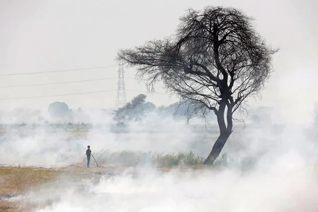 A worker burns stubble after harvesting pulse crop in a field at Hoshangabad district of India's Madhya Pradesh state on June 12, 2022. (Photo by Gagan Nayar/AFP Photo)