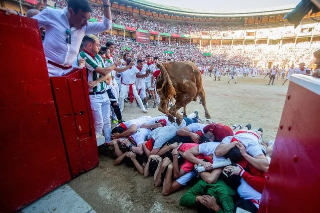 A young cow jumps over participants at the Pamplona's bullring after the seventh “encierro” (bull-run) of the San Fermin Festival in Pamplona, northern Spain, on July 13, 2022. On each day of the festival six bulls are released at 8:00 a.m. (0600 GMT) to run from their corral through the narrow, cobbled streets of the old town over an 850-meter (yard) course. Ahead of them are the runners, who try to stay close to the bulls without falling over or being gored. (Photo by Miguel Riopa/AFP Photo)