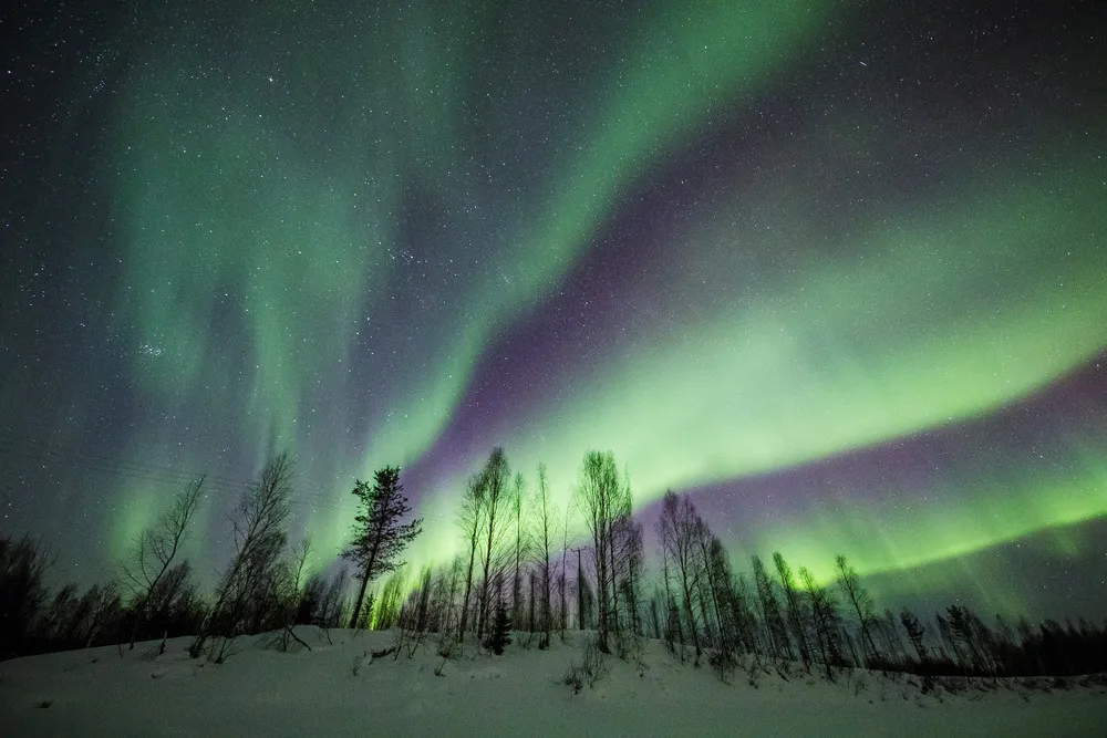 Surreal Northern Lights