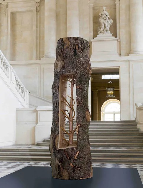 The Hidden Life Within By Giuseppe Penone