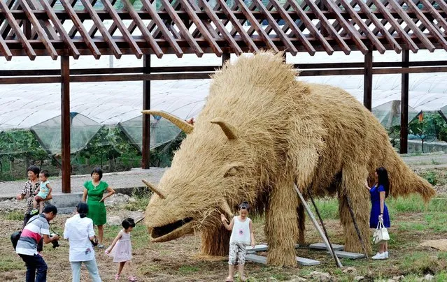 People pose for pictures in front of a straw installation in Hengfeng county, Jiangxi province, August 7, 2016. (Photo by Reuters/China Daily)
