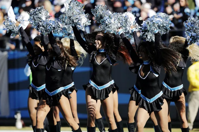 Carolina Panthers cheerleaders perform during the first half of a divisional playoff NFL football game against the San Francisco 49ers , Sunday, January 12, 2014, in Charlotte, N.C. (Photo by Chuck Burton/AP Photo)