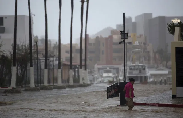 A woman wades through a street flooded by the heavy rains brought on by Hurricane Newton in Cabo San Lucas, Mexico, Tuesday, September 6, 2016. The U.S. National Hurricane Center says Newton's winds Tuesday morning were around 90 mph (150 kph) and the storm is expected to still be a hurricane when it makes its second landfall on the northwest coast of mainland Mexico early Wednesday. (Photo by Eduardo Verdugo/AP Photo)