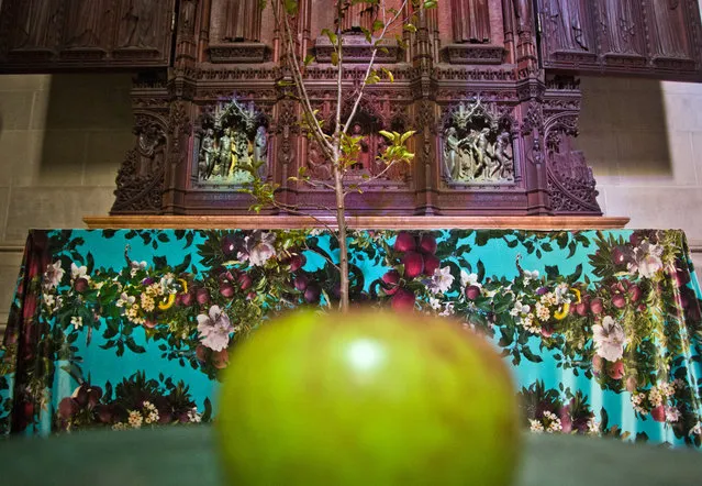 "Temptation", part of an installation from the artist-duo David Burns and Austin Young, appears among the works of 30 artists in the multimedia exhibition "The Value of Food: Sustaining a Green Planet" at the Cathedral of St. John the Divine, Wednesday, October 7, 2015, in New York.  (Photo by Bebeto Matthews/AP Photo)