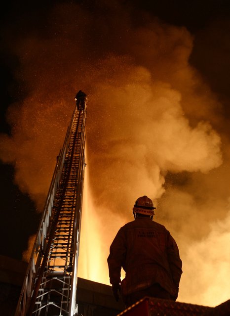 Los Angeles city firefighters battle a massive fire at a seven-story downtown apartment complex under construction in Los Angeles, California December  8, 2014. (Photo by Gene Blevins/Reuters)