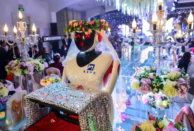 A robot dressed up as a bridesmaid serves at a wedding in Tianjin, November 1, 2015. A robot company recently adjusted their robot product, invented for restaurant service, to work as a bridesmaid at weddings, according to local media. (Photo by Reuters/China Daily)