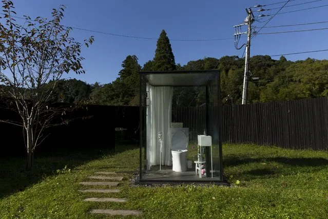 A toilet cubicle with glass walls stands in a fenced off garden at Itabu railway station in the Chiba prefecture east of Tokyo October 13, 2015. Dubbed "the world's most spacious public toilet" by local media, the lady's outhouse is a glass cubicle with a fully functioning toilet that stands in a  garden. The high fence surrounding the toilet can be locked from the inside, giving the user the experience of both privacy and space. (Photo by Thomas Peter/Reuters)