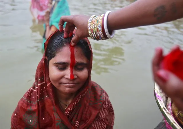 A woman has her forehead smeared with vermilion powder after worshipping the Sun god Surya in the waters of a lake during the Hindu religious festival of Chatt Puja in Agartala, India, November 17, 2015. (Photo by Jayanta Dey/Reuters)