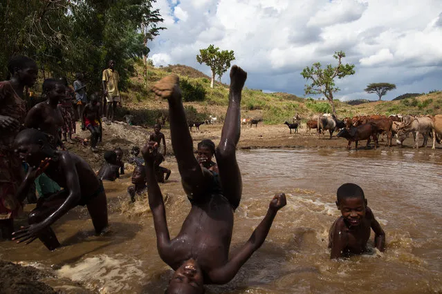 “Monsoon Rains – Children at the Pond”. After the monsoon rains, I traveled in southern Ethiopia. While visiting the Lower Omo Valley tribes, I spent some time with these lovely children. This is the local version of leisure at the “swimming pool”. The harsh environment, and the fact that the children share the same pond with cows and donkeys does not prevent them from enjoying the short wet season, which will soon turn into mud, dust and drought. (Photo and caption by Alexander Shahaf/National Geographic Traveler Photo Contest)