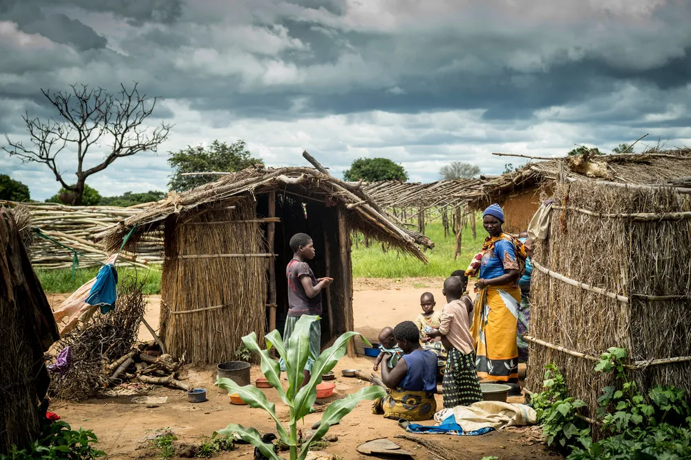 Tobacco Farm in Malawi