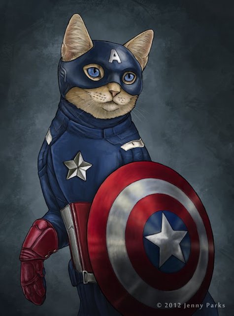 Super Cats By Jenny Parks