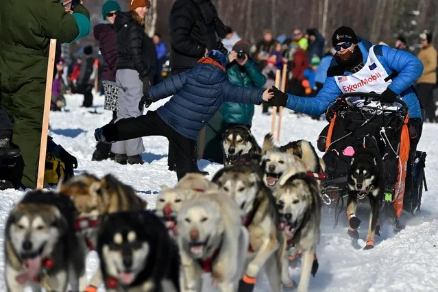 Dallas Seavey leans over for a high-five at the Iditarod Trail Sled Dog Race start area on a course drastically altered by the coronavirus pandemic at Deshka Landing in Willow, Alaska, March 7, 2021. The starting gate of the 2021 event was placed off-limits to the usual crowds of cheering spectators, and few if any fans are expected along the abbreviated route for this year's 49th running of the world's most famous sled-dog marathon. (Photo by Marc Lester/ADN/Pool via Reuters)