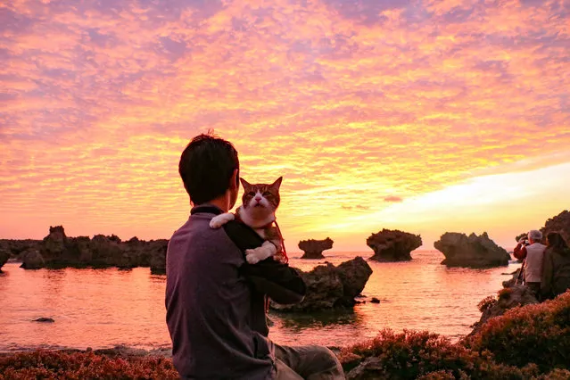 Daisuke Nagasawa watches the sunset with his Cat Daikichi on a beautiful Japanese beach. (Photo by Daisuke Nagasawa/Caters News Agency)