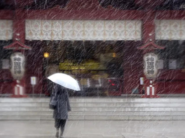 A woman walks in the snow at Kanda Myojin shrine in Tokyo, Thursday, November 24, 2016. Tokyo residents have woken up to the first November snowfall in more than 50 years. An unusually cold air mass brought wet snow to Japan's capital on Thursday. Above-freezing temperatures kept the snow from sticking, but forecasters said there could be an accumulation of up to 2 centimeters (1 inch). The last time it snowed in central Tokyo in November was in 1962. (Photo by Eugene Hoshiko/AP Photo)