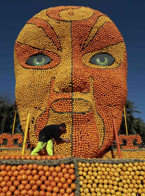 A worker puts the final touches to a replica of a Beijing opera mask made with lemons and oranges during the 82th Lemon festival in Menton February 12, 2015. (Photo by Eric Gaillard/Reuters)