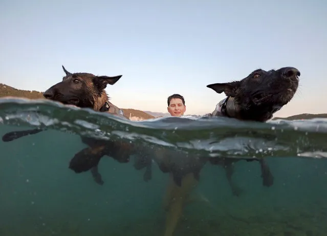 Dogs and their owner take part in the “Underdog 2018” beach race in Banjol, Croatia, August 28, 2018. Picture taken August 28, 2018. (Photo by Antonio Bronic/Reuters)