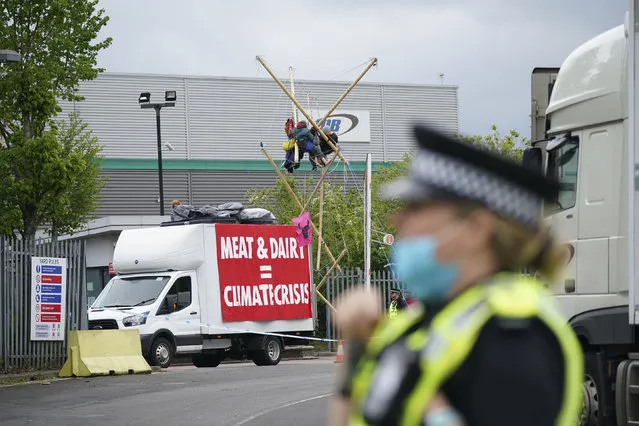 Animal Rebellion protesters suspended from a bamboo structure and on top of a van, being monitored by police officers outside a McDonald's distribution site in Hemel Hempstead, England, Saturday May 22, 2021. Animal rights protesters are blockading four McDonald’s distribution centres in the U.K. in an attempt to get the burger chain to commit to becoming fully plant-based by 2025. Animal Rebellion said Saturday that trucks and bamboo structures are being used at the distribution sites in Hemel Hempstead, Basingstoke, Coventry and Heywood, Greater Manchester, to stop lorries from leaving depots. (Photo by Yui Mok/PA Wire via AP Photo)